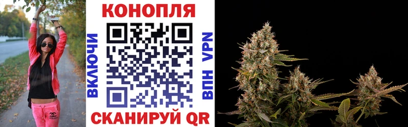 Купить где Яблоновский Канабис марихуана